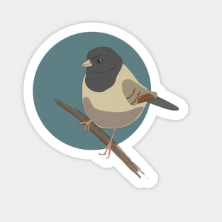 Dark Eyed Junco Bird Sticker